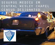 Seguros médico em  Central Wesley Chapel