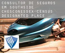 Consultor de seguros em  Southside Chesconessex