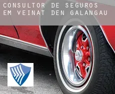 Consultor de seguros em  Veïnat d'en Galangau