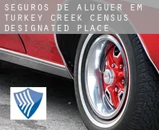 Seguros de aluguer em  Turkey Creek