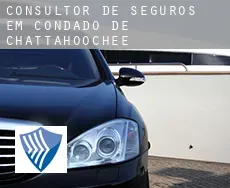 Consultor de seguros em  Condado de Chattahoochee