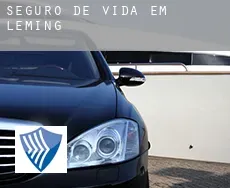 Seguro de vida em  Leming