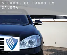 Seguros de carro em  Saloma