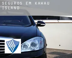 Seguros em  Kawau Island