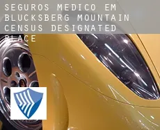 Seguros médico em  Blucksberg Mountain