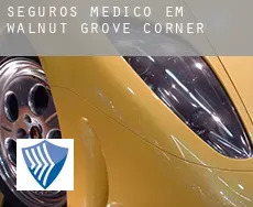 Seguros médico em  Walnut Grove Corner