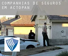 Companhias de seguros em  Actopan