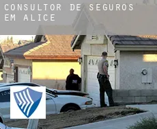 Consultor de seguros em  Alice