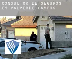 Consultor de seguros em  Valverde de Campos