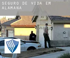 Seguro de vida em  Alamana