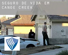 Seguro de vida em  Canoe Creek