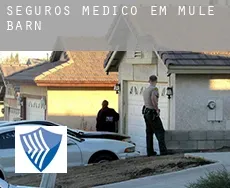 Seguros médico em  Mule Barn