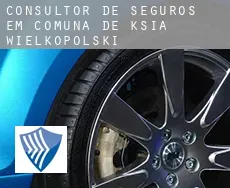 Consultor de seguros em  Comuna de Książ Wielkopolski