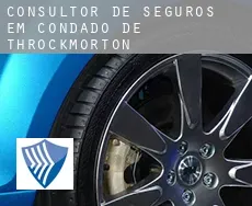 Consultor de seguros em  Condado de Throckmorton