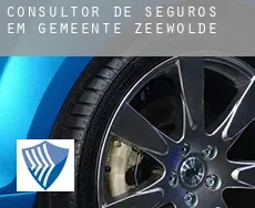 Consultor de seguros em  Gemeente Zeewolde