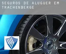 Seguros de aluguer em  Trachenberge
