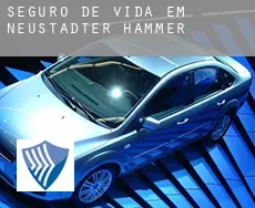 Seguro de vida em  Neustädter Hammer