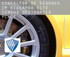 Consultor de seguros em  Kickapoo Site 6