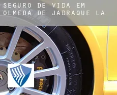 Seguro de vida em Olmeda de Jadraque (La)
