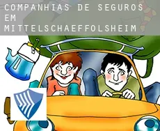 Companhias de seguros em  Mittelschaeffolsheim