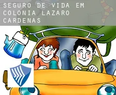 Seguro de vida em  Colonia Lazaro Cárdenas