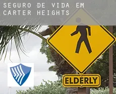 Seguro de vida em  Carter Heights