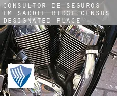 Consultor de seguros em  Saddle Ridge