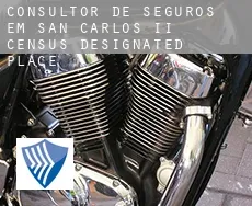 Consultor de seguros em  San Carlos II