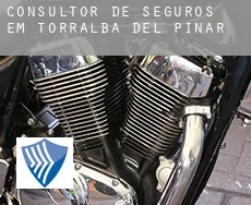 Consultor de seguros em  Torralba del Pinar
