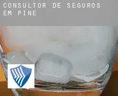 Consultor de seguros em  Pine