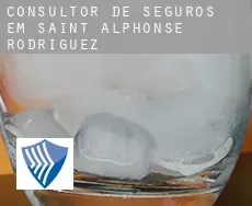 Consultor de seguros em  Saint-Alphonse-Rodriguez