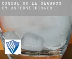 Consultor de seguros em  Unterneidingen