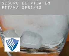 Seguro de vida em  Ettawa Springs