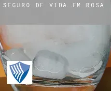 Seguro de vida em  Rosa