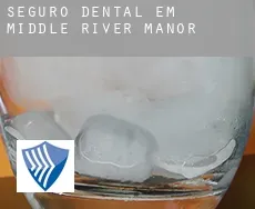 Seguro dental em  Middle River Manor
