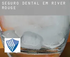 Seguro dental em  River Rouge