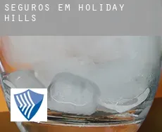 Seguros em  Holiday Hills