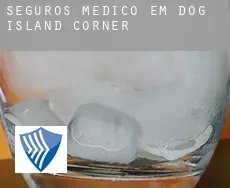 Seguros médico em Dog Island Corner