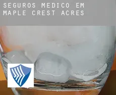 Seguros médico em  Maple Crest Acres