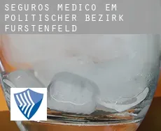 Seguros médico em  Politischer Bezirk Fürstenfeld