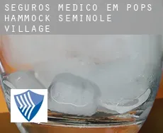 Seguros médico em  Pops Hammock Seminole Village