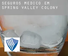 Seguros médico em  Spring Valley Colony