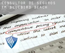 Consultor de seguros em  Bluebird Beach