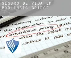 Seguro de vida em  Boolinaig Bridge