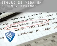 Seguro de vida em  Chimney Springs