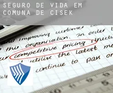 Seguro de vida em  Comuna de Cisek