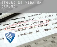 Seguro de vida em  Orpund