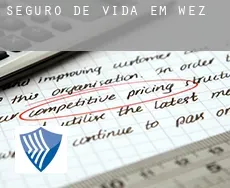 Seguro de vida em  Wez