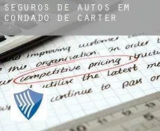 Seguros de autos em  Condado de Carter