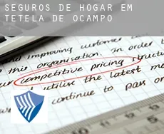 Seguros de hogar em  Tetela de Ocampo
